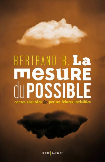 La Mesure du Possible